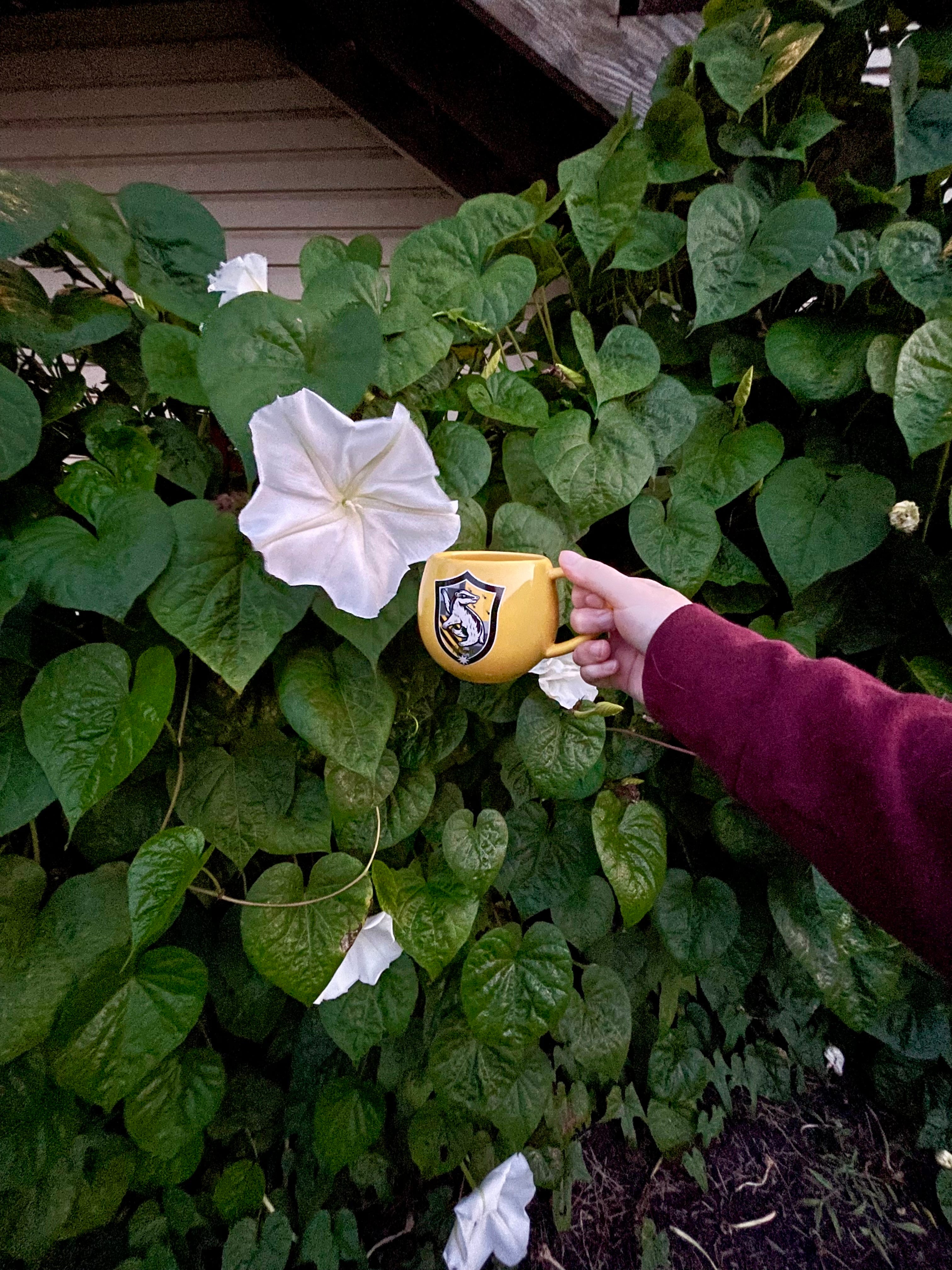 The Moonflower Monologue